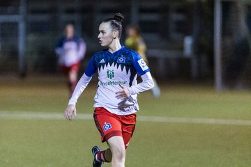 Bild 351 - F SC Alstertal-Langenhorn - Hamburger SV 3 : Ergebnis: 2:2